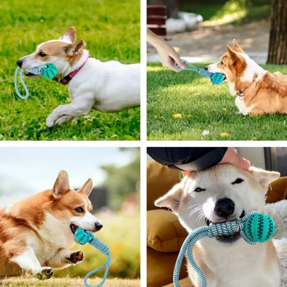 DOWNYPAWS - 2 pièces jouets de tir à