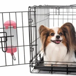 DOWNYPAWS - Abreuvoir - 400 ml, pour hamster, cochon d'indé etc.