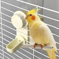 DOWNYPAWS - Abreuvoir automatique pour oiseaux