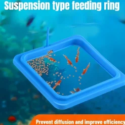 DOWNYPAWS - Anneau nourrisseur carré flottant