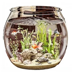 DOWNYPAWS - Aquarium en plastique transparent: petit aquarium pour bureau micro paysage et aménagement paysager écologique pour tortues