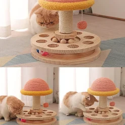 DOWNYPAWS - Arbre à chat avec 2 jouets