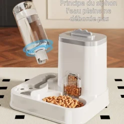 DOWNYPAWS - Automatic pet feeder and water dispenser
