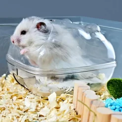 DOWNYPAWS - Bac à litière pour chat pour hamster -13*9*9cm 360° transparent