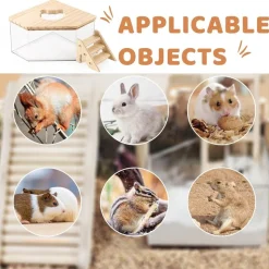 DOWNYPAWS - Bac de bain de sable - pentagon avec échelle