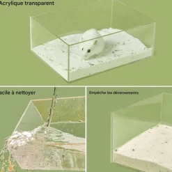 DOWNYPAWS - Bain salle - transparente, grande entrée, sable pour toilette
