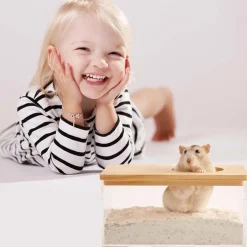 DOWNYPAWS - Bain salle - transparente, grande entrée, sable pour toilette