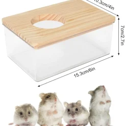 DOWNYPAWS - Bain salle - transparente, grande entrée, sable pour toilette