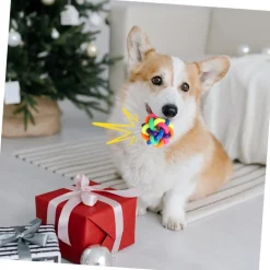 DOWNYPAWS - Balle jouet pour chat-avec cloche-lot de trois boules cloches arc-en-ciel de 6 cm