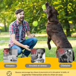 DOWNYPAWS - Balle jouet pour chien tennis(12 pièces), en caoutchouc et feutre de haute qualité, compatible lanceur 6 cm