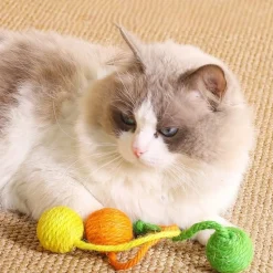 DOWNYPAWS - Balle jouet pour chat-jouet suspendu pour chat - boules jaunes, orange et vertes