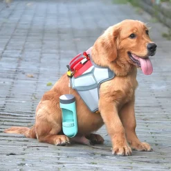 DOWNYPAWS - Bouteille d'eau portable pour voyage et animaux de compagnie - fontaine à boire avec filtre, fourniture d'extérieur