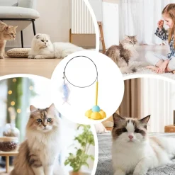 DOWNYPAWS - Bâton de chat drôle