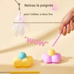 DOWNYPAWS - Bâton de chat drôle