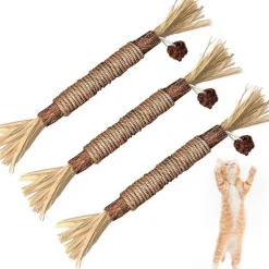 DOWNYPAWS - Bâtonnets herbe à chat 6 pièces 22cm-bâton de dentition pour chat-bon pour la santé dentaire