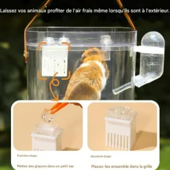 DOWNYPAWS - Cage de transport - portable avec bouteille d'eau transparente