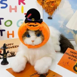 DOWNYPAWS - Chapeau de chat halloween-chapeau citrouille-m (longueur 37cm ​​largeur 9cm hauteur 9cm)