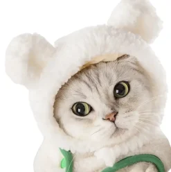 DOWNYPAWS - Chapeau ours pour animaux de compagnie, col règlable