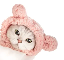 DOWNYPAWS - Chapeau ours pour animaux de compagnie, col règlable