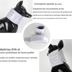 DOWNYPAWS - Collerette pour chat et chien