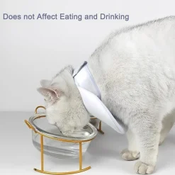 DOWNYPAWS - Collier de convalescence pour chat