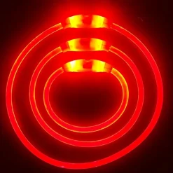 DOWNYPAWS - Collier lumineux rechargeable pour chien taille l rouge : 70 cm de circonférence