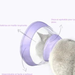 DOWNYPAWS - Collier pour chat roland violet