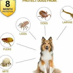 DOWNYPAWS - Colliers anti - puces et anti -tiques, lot de 2 pour chiens