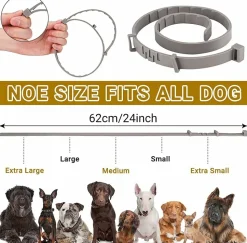 DOWNYPAWS - Colliers anti - puces et anti -tiques, lot de 2 pour chiens