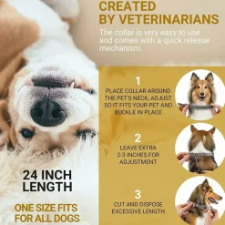 DOWNYPAWS - Colliers anti - puces et anti -tiques, lot de 2 pour chiens