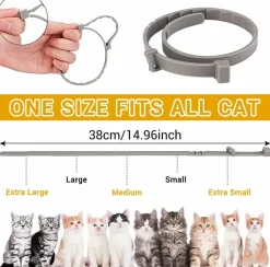 DOWNYPAWS - Colliers anti - puces et anti -tiques, lot de 2 pour chiens