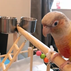 DOWNYPAWS - Coupelles de mangeoire pour oiseaux