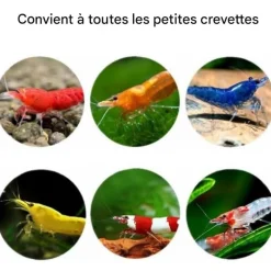 DOWNYPAWS - Décoration d'aquarium-grotte aux crevettes-- noires