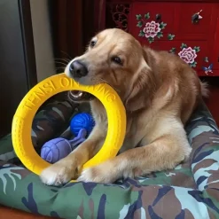 DOWNYPAWS - Disque Durable Pour Chien - Idéal Pour Entraînement, Tir à La Corde Et Natation