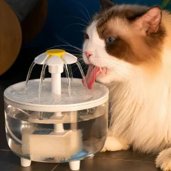 DOWNYPAWS - Distributeur d'eau en circulation pour chats: filtre automatique flux d'eau en direct - fournitures pour animaux de compagnie