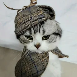 DOWNYPAWS - Ensemble de costumes de détective pour animaux de compagnie