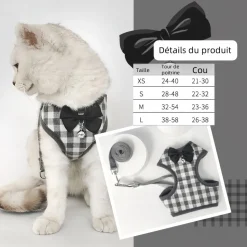 DOWNYPAWS - Ensemble de laisse pour chat l