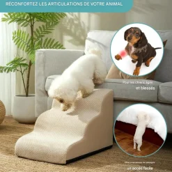 DOWNYPAWS - Escalier pour chien