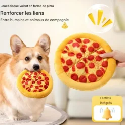 DOWNYPAWS - Frisbee pour chien-matière pelucheuse jouets interactifs- en forme de pizza-23.5cm