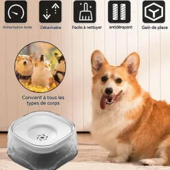 DOWNYPAWS - Gamelle à eau - anti - éclaboussures 2l facile à nettoyer
