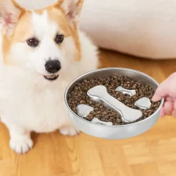 DOWNYPAWS - Gamelle anti-glouton pour chien - inox antidérapant