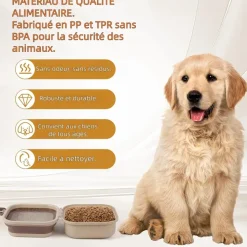 DOWNYPAWS - Gamelle pliable 2 en 1 pour chien