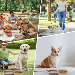 DOWNYPAWS - Gamelle pliable 2 en 1 pour chien