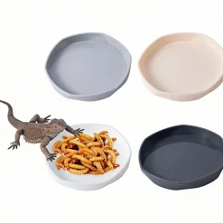 DOWNYPAWS - Gamelles à eau - lot de 4, motif dragon barbu, peu profond et plat, plastique