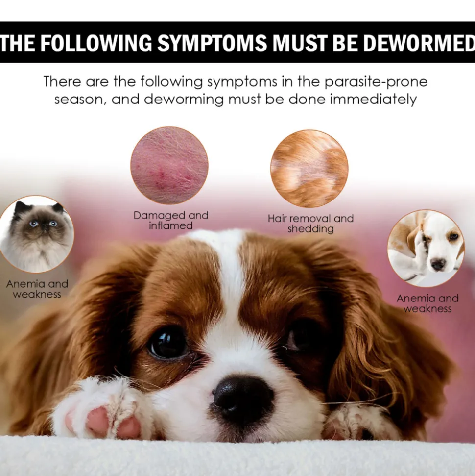 DOWNYPAWS - Gouttes antiparasitaires externes pour animaux de compagnie, 30 ml