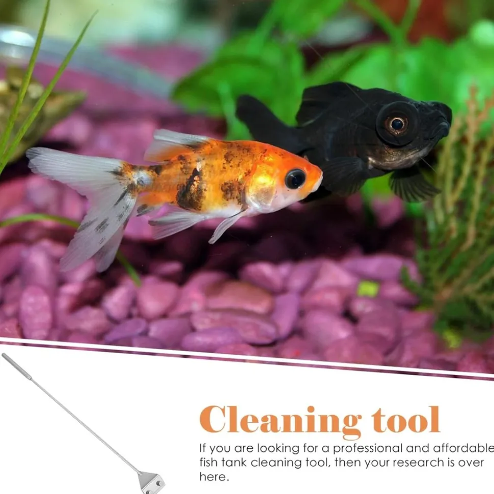 DOWNYPAWS - Grattoir à algues pour aquarium - long manche antidérapant