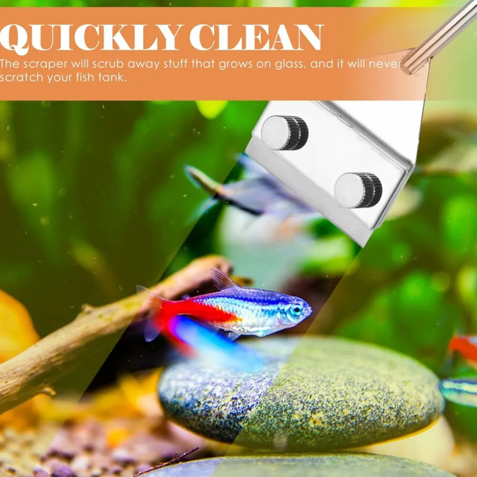 DOWNYPAWS - Grattoir à algues pour aquarium - long manche antidérapant