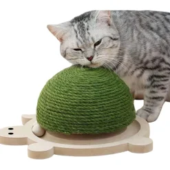 DOWNYPAWS - Griffoir pour chat en forme de tortue-balle jouet pour chat-29*24*14cm
