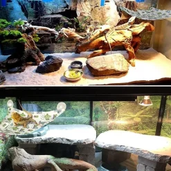 DOWNYPAWS - Hamac - motif dragon barbu, avec crochets pour oreiller et ventouse