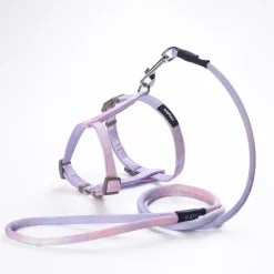 DOWNYPAWS - Harnachement et laisse pour chat s